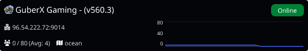 Server Banner