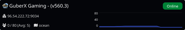 Server Banner
