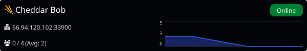Server Banner