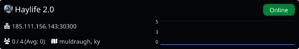 Server Banner